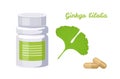 Ginkgo biloba capsules isolated on white background. Vector bottle of pills and green leaf. Royalty Free Stock Photo