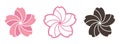 Sakura Japanese Flower Icon Graphic Vector