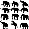 Elephant mammoth & mastodon silhouettes vector illustration