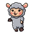 Cute baby sheep cartoon presenting