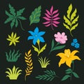 Set of tropical leaves. Vector Collection of leaves, flowers and branches on black