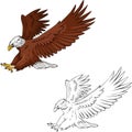 Hawk Vector Illustration Colored and Outline Royalty Free Stock Photo