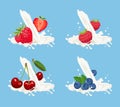 Milk or yogurt splash with strawberry, raspberry, blueberry and cherry. Vector illustration Royalty Free Stock Photo