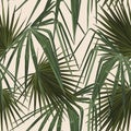 Fashionable seamless tropical pattern with green tropical fan palm leaves on a beige background. Royalty Free Stock Photo