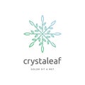 nature leaf ice crystal vector for restaurant, cafe or organic coffee shop