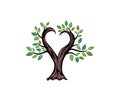 Olive tree logo design image Royalty Free Stock Photo