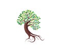Mangrove tree logo, vector image