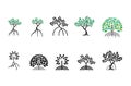 Various of Mangrove tree vector image collections