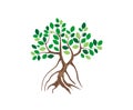 Mangrove tree logo, vector image