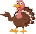 Cartoon turkey presenting on white background Royalty Free Stock Photo