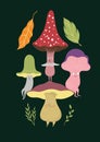 Mushrooms charscters . Fictional whimsical cute cartoon mushrooms.