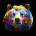 Colorful bear pop art portrait isolated decoration