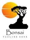 Bonsai tree silhouette and sun on transparent background