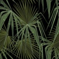 Fashionable seamless tropical pattern with green tropical fan palm leaves on a black background. Royalty Free Stock Photo