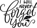 I Will Never Forget You