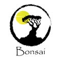 Bonsai tree illustration on transparent background
