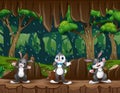 Cute three of rabbits in the cave entrance