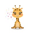Cute baby giraffe in sitting pose Royalty Free Stock Photo