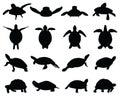 Black silhouettes of turtles Royalty Free Stock Photo