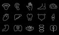 Human body parts, organs - vector linear icon set. Royalty Free Stock Photo