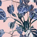 Tropical vintage palm, monstera, plant, floral seamless border pink background. Exotic blue jungle wallpaper. Royalty Free Stock Photo