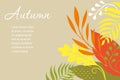 Atumnal leaves, vector illustration. Horizontal banner.