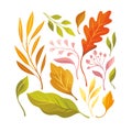 Autumn leaves, illustration on white background. Oak leaves, maple leaf  falling. Royalty Free Stock Photo