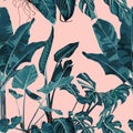 Tropical vintage banana palm, monstera, plant, floral seamless border pink background. Royalty Free Stock Photo