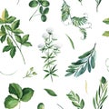 Watercolor Greenery seamless texture with fern,herb,leaves,branches.