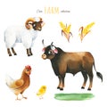 Watercolor set with funny animals-hen, chicken,ram,bull Royalty Free Stock Photo