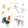 Watercolor set with funny animals-goat, rooster,piglet,butterfly,chicken. Royalty Free Stock Photo