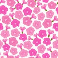 Vector Seamless Pattern of Pink Petunia in summer spring autumn season in tropical garden.