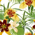 Seamless pattern with lilies tigridia flowers and tropical leaves. White background. Royalty Free Stock Photo