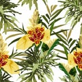 Seamless pattern with lilies tigridia flowers and tropical leaves. White background. Royalty Free Stock Photo