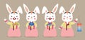 Cartoon rabbit wearing Korea hanbok with persimmons, gift, songpyeon