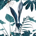 Tropical vintage banana palm, monstera, plant, floral seamless border white background. Royalty Free Stock Photo