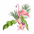 Exotic pink flamingo bird with leaves and flowers set. Element for card template. Royalty Free Stock Photo