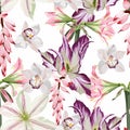 Vintage floral seamless background pattern. Beauty tulips with pink exotic flowers on white background. Royalty Free Stock Photo