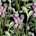 Vintage floral seamless background pattern. Beauty tulips flower with bud and eucaliptus on white background. Royalty Free Stock Photo