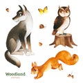 Watercolor set with funny forest animals-wolf,owl,snail,butterfly,squirrel.