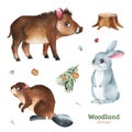 Watercolor set with funny forest animals-wild boar,rabbit,beaver,pine cone. Royalty Free Stock Photo