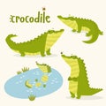 Print. vector set of crocodiles. Cartoon crocodiles. Royalty Free Stock Photo