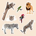 Big set of cute cartoon animal stickers, zebra, leopard, lion, jaguar, parot bird. Royalty Free Stock Photo