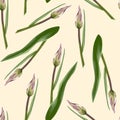 Vintage floral seamless background pattern. Beautiful tulips flower bud and leaves on beige background. Royalty Free Stock Photo