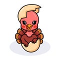 Cute baby turkey cartoon inside an egg Royalty Free Stock Photo