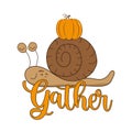 Gather - Autumnal decoration pumpkin and cute snail.