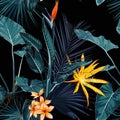 Tropical vintage palm, monstera, plant, strelitzia orange flowers floral seamless border black background. Royalty Free Stock Photo