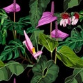 Anthurium, banana flower. Seamless floral pattern with violet glossy flowers and anthurium and palm leaves. Royalty Free Stock Photo