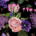 Seamless floral pattern with pink roses and violet lilac and anemones flowers on black background. Royalty Free Stock Photo