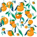 Seamless pattern with plant elements leaves and fruits of tangerines